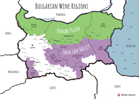 Exploring the Richness of Bulgarian Wine: The Treasured Grape of North Bulgaria
